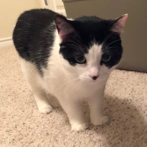 Meet your Posher, Tuanh